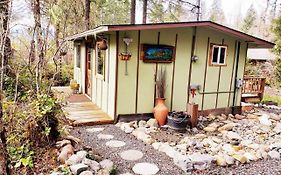 Mt Rainier Little Green Cabin On Big Creek!