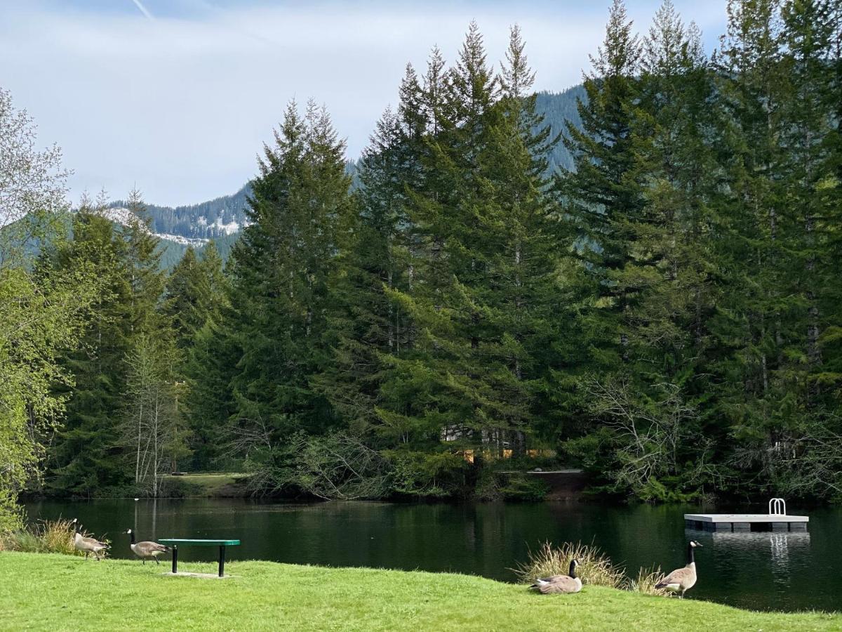 Mt Rainier Little Green Cabin On Big Creek! Ashford Exterior photo