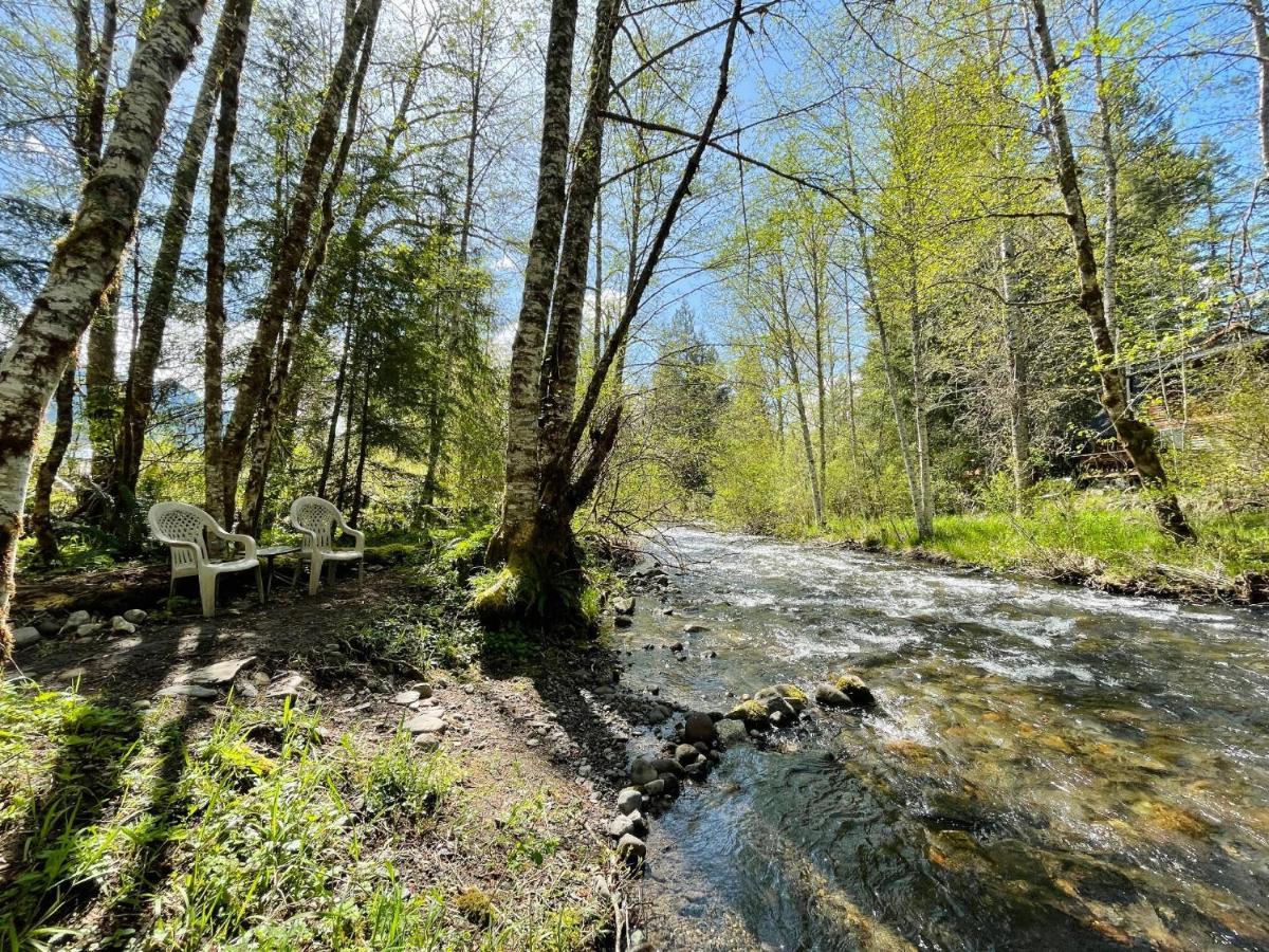 Mt Rainier Little Green Cabin On Big Creek! Ashford Exterior photo