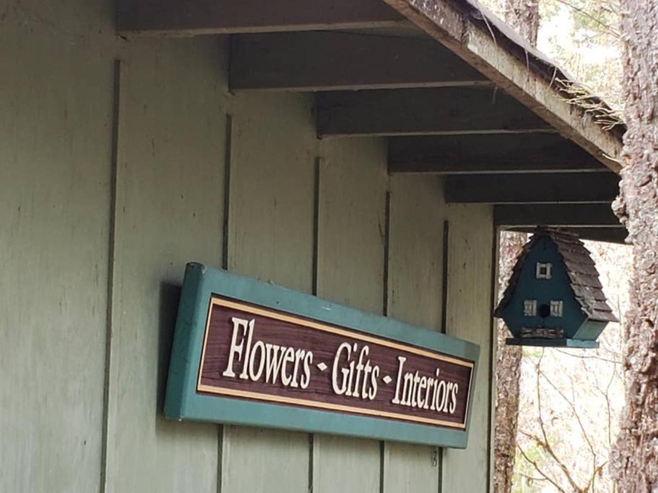 Mt Rainier Little Green Cabin On Big Creek! Ashford Exterior photo
